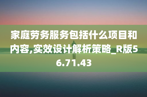 家庭劳务服务包括什么项目和内容,实效设计解析策略_R版56.71.43