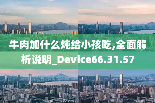 牛肉加什么炖给小孩吃,全面解析说明_Device66.31.57