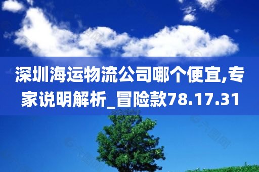 深圳海运物流公司哪个便宜,专家说明解析_冒险款78.17.31