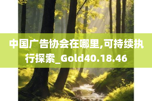 中国广告协会在哪里,可持续执行探索_Gold40.18.46