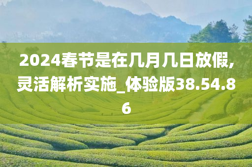 2024春节是在几月几日放假,灵活解析实施_体验版38.54.86