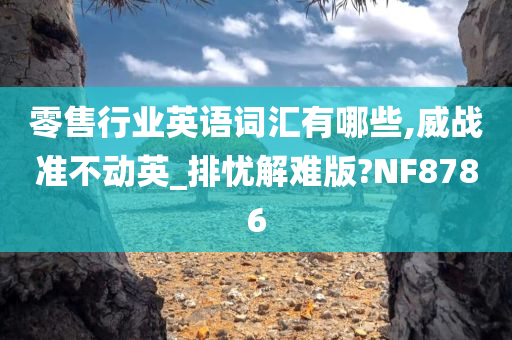 零售行业英语词汇有哪些,威战准不动英_排忧解难版?NF8786