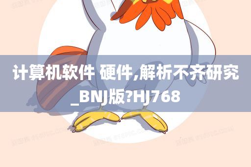 计算机软件 硬件,解析不齐研究_BNJ版?HJ768