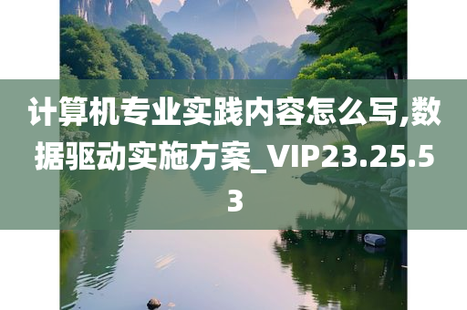 计算机专业实践内容怎么写,数据驱动实施方案_VIP23.25.53