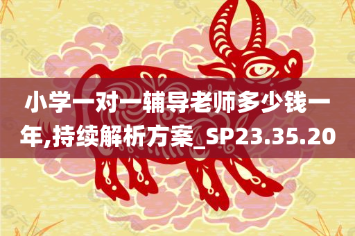 小学一对一辅导老师多少钱一年,持续解析方案_SP23.35.20