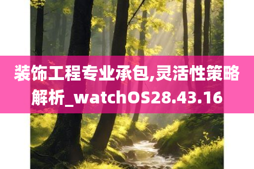 装饰工程专业承包,灵活性策略解析_watchOS28.43.16