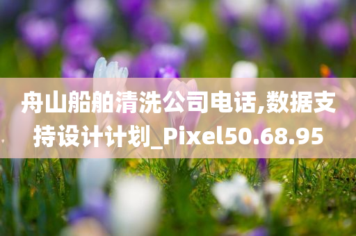 舟山船舶清洗公司电话,数据支持设计计划_Pixel50.68.95