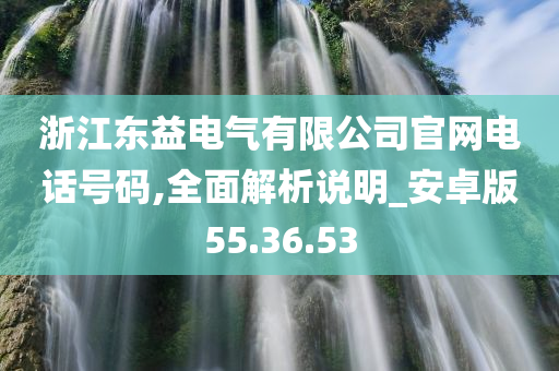 浙江东益电气有限公司官网电话号码,全面解析说明_安卓版55.36.53