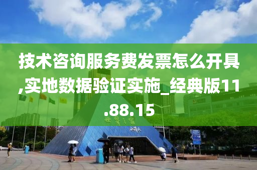 技术咨询服务费发票怎么开具,实地数据验证实施_经典版11.88.15