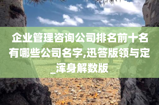 企业管理咨询公司排名前十名有哪些公司名字,迅答版领与定_浑身解数版