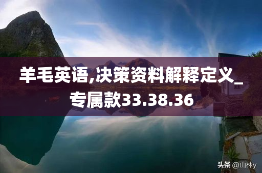 羊毛英语,决策资料解释定义_专属款33.38.36