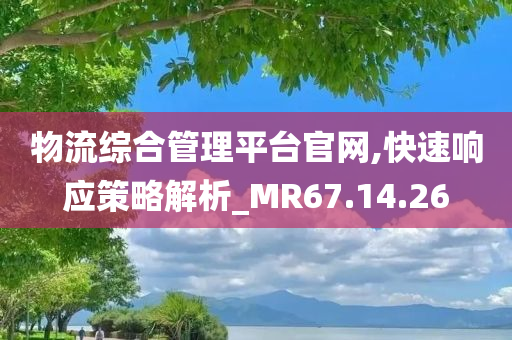 物流综合管理平台官网,快速响应策略解析_MR67.14.26