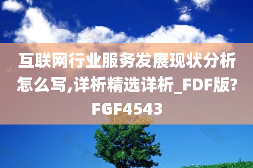 互联网行业服务发展现状分析怎么写,详析精选详析_FDF版?FGF4543