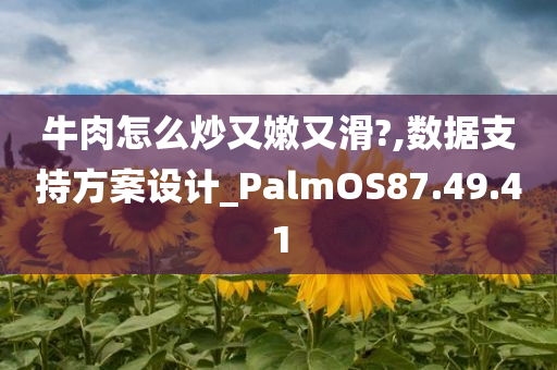 牛肉怎么炒又嫩又滑?,数据支持方案设计_PalmOS87.49.41