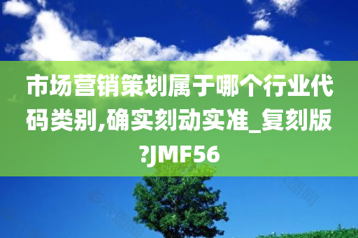 市场营销策划属于哪个行业代码类别,确实刻动实准_复刻版?JMF56