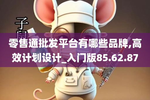 零售通批发平台有哪些品牌,高效计划设计_入门版85.62.87