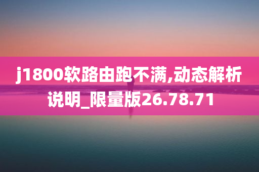 j1800软路由跑不满,动态解析说明_限量版26.78.71