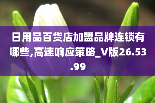 日用品百货店加盟品牌连锁有哪些,高速响应策略_V版26.53.99