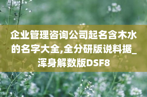 企业管理咨询公司起名含木水的名字大全,全分研版说料据_浑身解数版DSF8