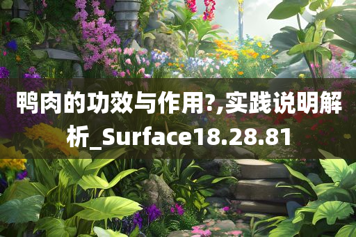 鸭肉的功效与作用?,实践说明解析_Surface18.28.81