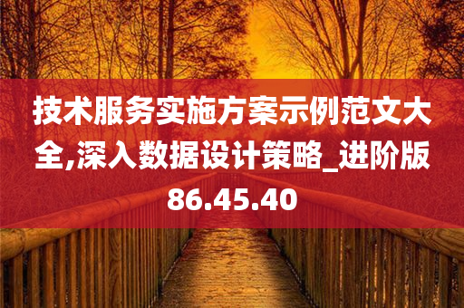 技术服务实施方案示例范文大全,深入数据设计策略_进阶版86.45.40