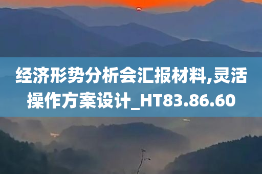 经济形势分析会汇报材料,灵活操作方案设计_HT83.86.60