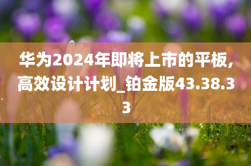 华为2024年即将上市的平板,高效设计计划_铂金版43.38.33