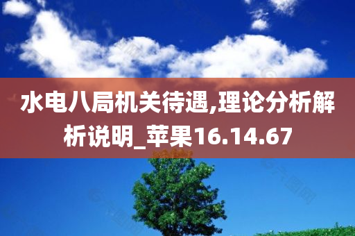 水电八局机关待遇,理论分析解析说明_苹果16.14.67