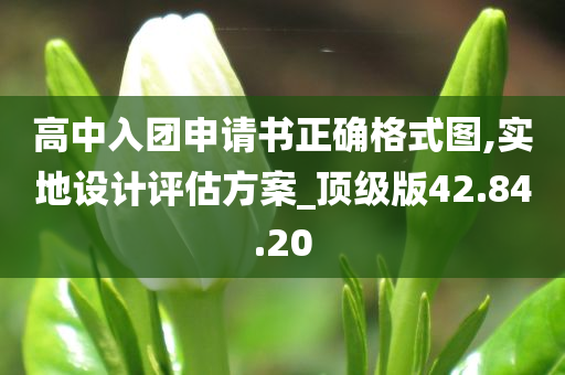 高中入团申请书正确格式图,实地设计评估方案_顶级版42.84.20