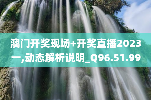 澳门开奖现场+开奖直播2023一,动态解析说明_Q96.51.99