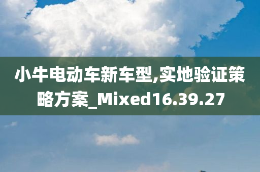 小牛电动车新车型,实地验证策略方案_Mixed16.39.27