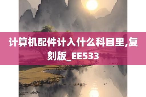 计算机配件计入什么科目里,复刻版_EE533