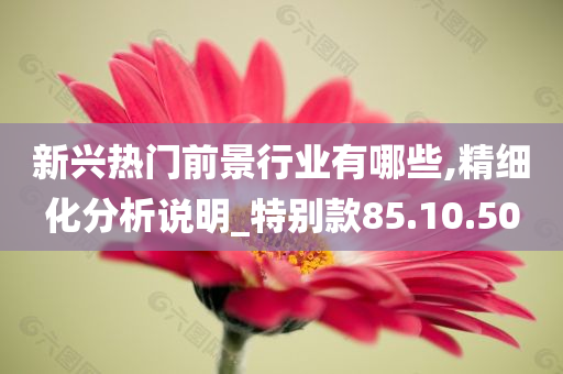 新兴热门前景行业有哪些,精细化分析说明_特别款85.10.50