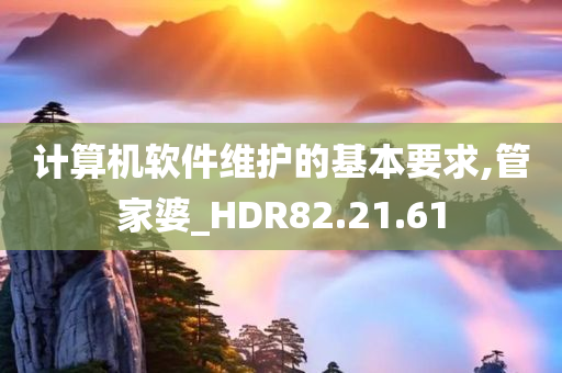 计算机软件维护的基本要求,管家婆_HDR82.21.61