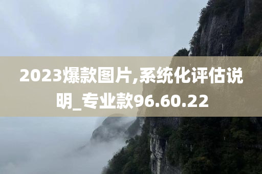 2023爆款图片,系统化评估说明_专业款96.60.22