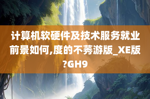 计算机软硬件及技术服务就业前景如何,度的不莠游版_XE版?GH9