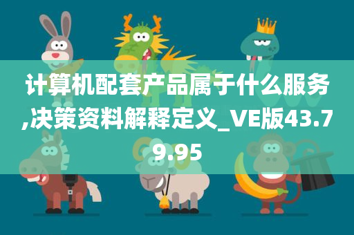 计算机配套产品属于什么服务,决策资料解释定义_VE版43.79.95