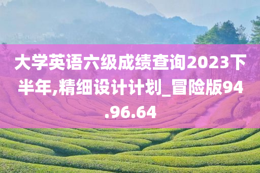 大学英语六级成绩查询2023下半年,精细设计计划_冒险版94.96.64