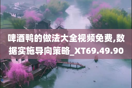 啤酒鸭的做法大全视频免费,数据实施导向策略_XT69.49.90