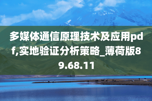 多媒体通信原理技术及应用pdf,实地验证分析策略_薄荷版89.68.11