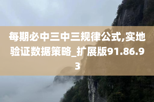 每期必中三中三规律公式,实地验证数据策略_扩展版91.86.93