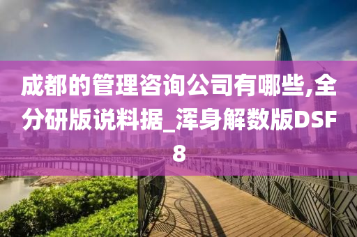 成都的管理咨询公司有哪些,全分研版说料据_浑身解数版DSF8