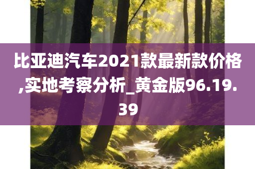 比亚迪汽车2021款最新款价格,实地考察分析_黄金版96.19.39