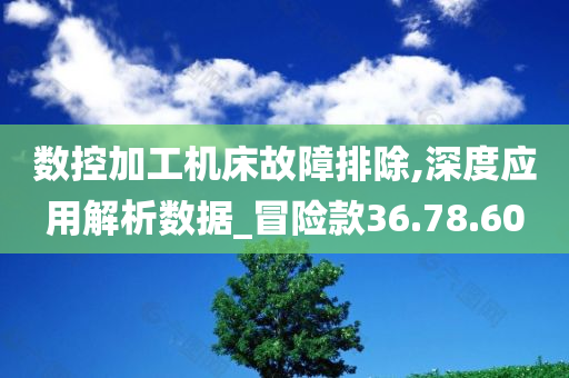 数控加工机床故障排除,深度应用解析数据_冒险款36.78.60