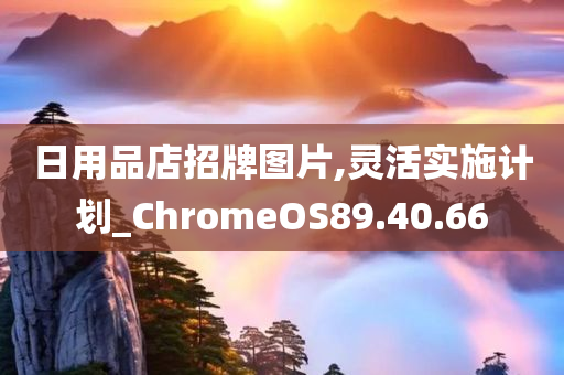 日用品店招牌图片,灵活实施计划_ChromeOS89.40.66