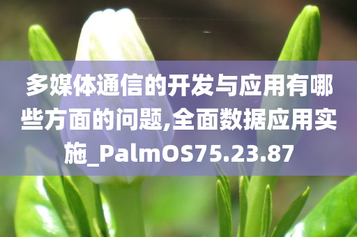 多媒体通信的开发与应用有哪些方面的问题,全面数据应用实施_PalmOS75.23.87