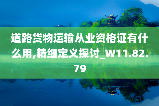 道路货物运输从业资格证有什么用,精细定义探讨_W11.82.79