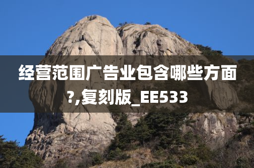 经营范围广告业包含哪些方面?,复刻版_EE533