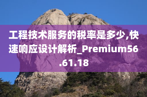 工程技术服务的税率是多少,快速响应设计解析_Premium56.61.18