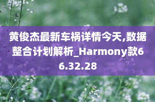 黄俊杰最新车祸详情今天,数据整合计划解析_Harmony款66.32.28